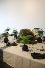 Load image into Gallery viewer, KOKEDAMA MASTERCLASS
