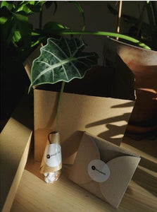 Plant Gift Box