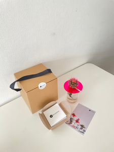 Plant Gift Box