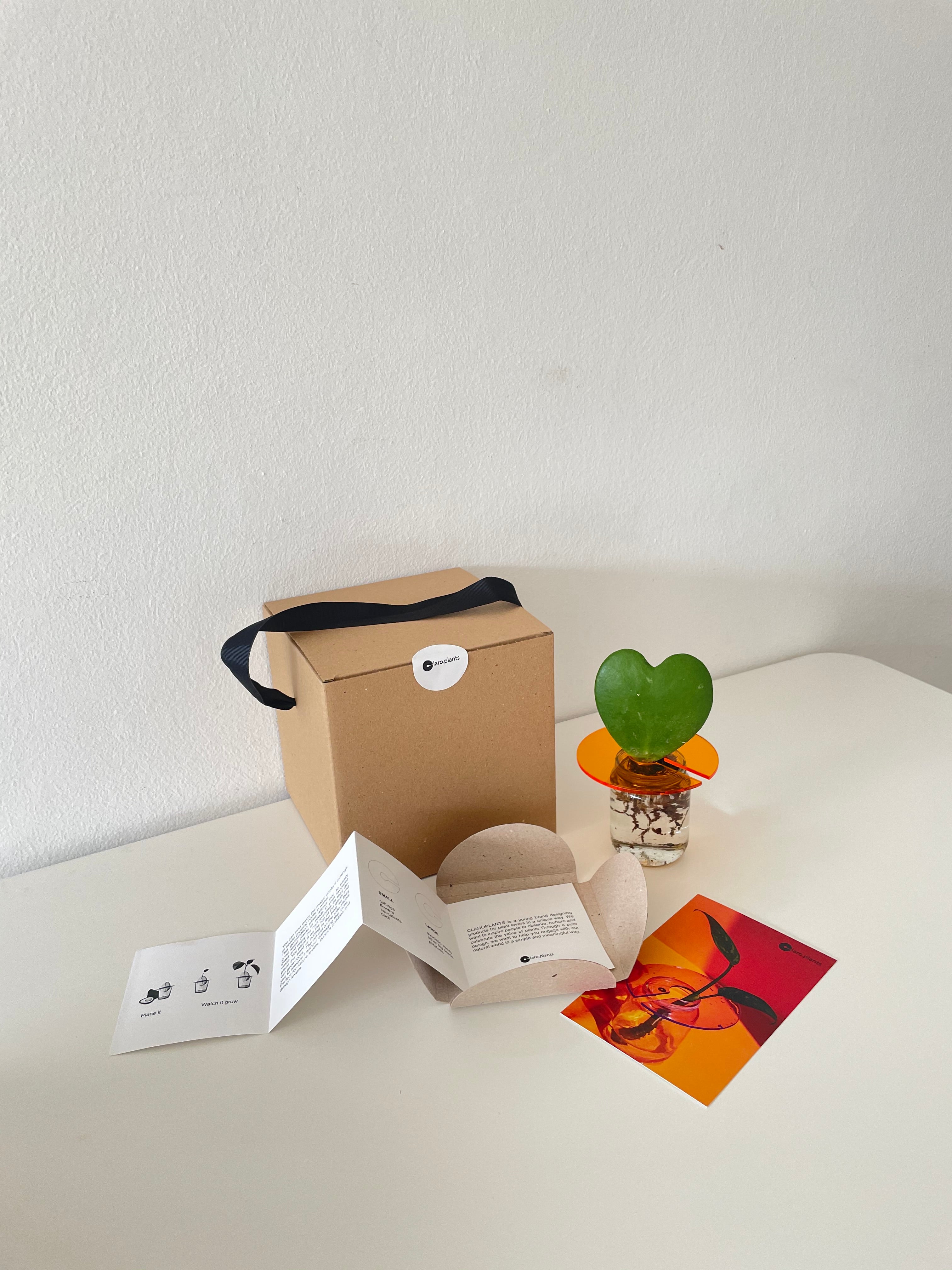 Plant Gift Box